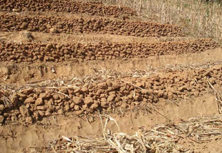 土壤檢測項目三